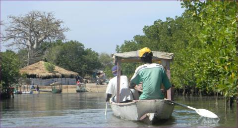 River Cruise / Abuko Nature Reserve