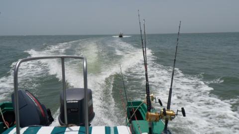 sport fishing