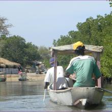 River Cruise / Abuko Nature Reserve